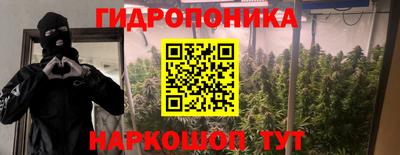 спайс Будённовск