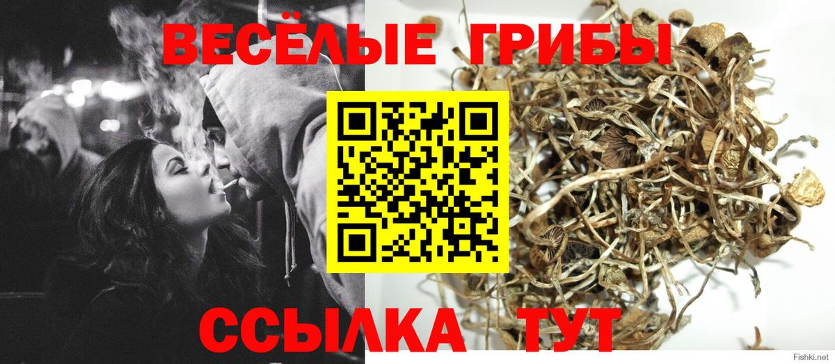 Галлюциногенные грибы мухоморы  Вход с VPN  Псилоцибиновые грибы Psilocybine cubensis  где продают   Новороссийск 